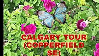 CALGARY TOUR | COPPERFIELD SE | World Places and Events