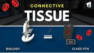 Connective Tissue | Blood under a microscope | Experiment | Class 9 Biology