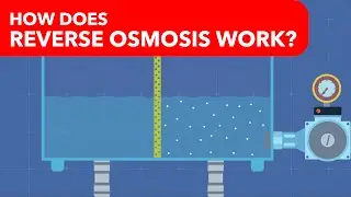 How does reverse osmosis work?