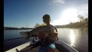 cania dam mixed species