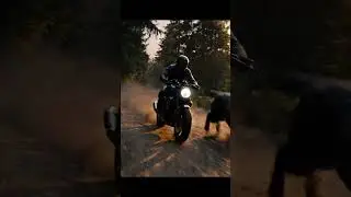 ASMR Chase 🏍️🐆 | Biker vs Black Panther | Forest Road Ambience