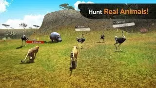 The Cheetah (by Swift Apps LTD) -  Cheetah Vs Ostrich Android Gameplay #1 | Dishoomgameplay
