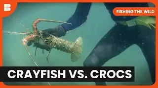 Croc Country Fishing - Fishing The Wild - S01 EP03 - Nature Documentary
