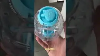 Ultimate Ball Run for Happy Hamsters 🐹🏀 #GoldenBear #Hamster #CutePetsGoViral...