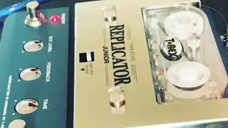 T-Rex Replicator Junior Tape echo ( Tone Demo )
