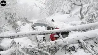 Snow Storm Disaster - Natural Disaster | FreeFall