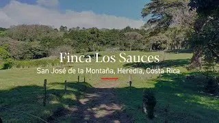 Rare 28.6 Ha Investment Finca in Heredia&rsquo;s Highlands | Finca Los Sauces