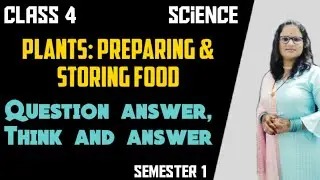 CLASS-4 SCIENCE L-1 PLANTS: PREPARING & STORING FOOD/QUESTION ANSWER/THINK AND ANSWER