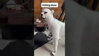 A little look at the process of felting the bodies for the two cheetah dolls. #artist #artdoll