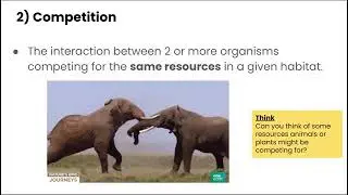 Ecosystem Interactions