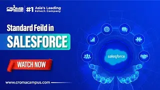 Standard Feild in Salesforce