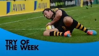 Citizen Try of the Week - Round 4 - Pisi, Goode, Miller, Brady & Yeandle