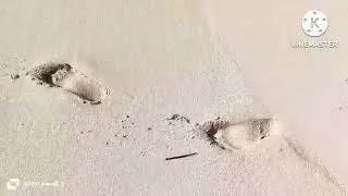 استغاثة ياسمين مش لقيه علاج فهد الحقوني امر القبض ع ايه رضا من الغرفه التجاريه زيزي فلوس الد