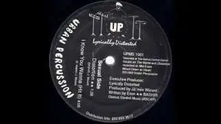 Lyrically Distorted - Flavor 4 The Wize (1992) ~ Full Snippet