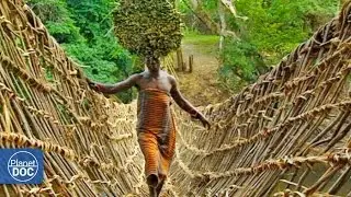 Sacred Bridges. Ivory Coast