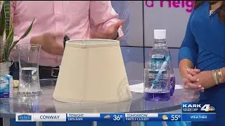 Household Cleaning Tips with Molly Maid