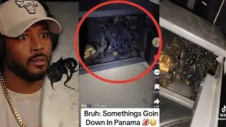 Something Is Going on Down In Panama, Charlie Kirk Rabbit hole is Creepy
