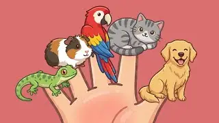 Pets | Finger Family Song
