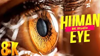 8k video HUMAN EYES Hdr Videos 60 Fps 8K ULTRA HD