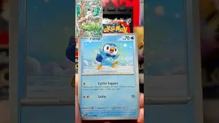 Day 29 Chase That Card : Meowth - Phantasmal Flames