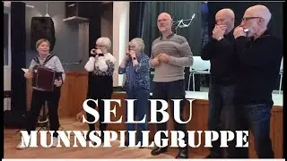 Любительские музыкальные коллективы в Норвегии | Музыкальная группа Selbu