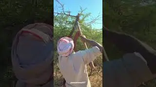 Village life #video #unfrezzmyaccount #villagelife