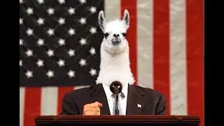 Federalism and checks & balances explained