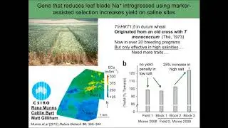 Plant phenotyping for plant genetics | Mark Tester