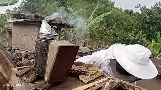 Uburyo dushobora gukura Inzuki mumuzinga tuzishyira muwundi utanga umusaruro