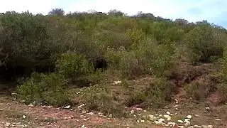 Bani Gala near from Rawal dam Islamabad 18 march 2018