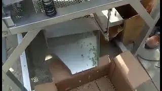 Green pea peeling machine