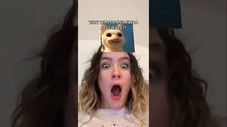 trying tiktok cat meme filter challenge 🤯🔥@Mr.Shiv9.0 #shortsfeed #catmeme #foryou #trendingnow