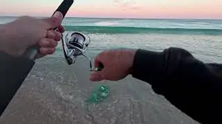 Part 2 Perth beach fishing the truth to fishing metro beaches
