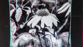 StackTown Films - Prints