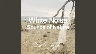 White Noise Studland Bay