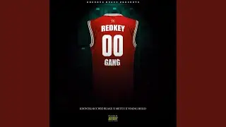 RedKeyGang (feat. Metth, Young Bego)