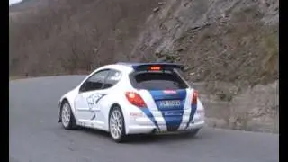 Test Peugeot 207 S2000 - Paolo Andreucci