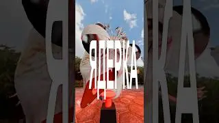 ИГРАЕМ В СЛОВА