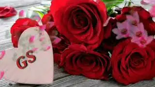 G💖S Alphabet letter Status 💖 What's app status 💖 Great Secret 💖