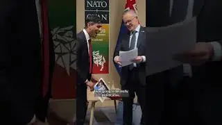 'Sorry I didn't bring my sandpaper': Sunak stokes tensions over Ashes at NATO meeting with Albanese