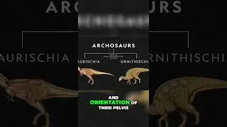 Dinosaur Evolution The Mystery of Saurischia and Ornithischia