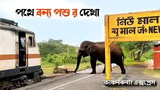 13149 KANCHANKANYA EXPRESS Il SEALDAH to NEW MAL TRAIN JOURNEY in AC 2nd CLASS - APRIL 2025 ( EP 1)