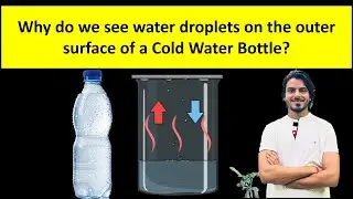 Why do we see water droplets on the outer surface of a Cold Water Bottle ?