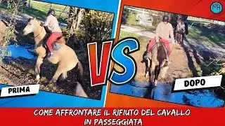Cavallo che si ferma e impenna in passeggiata? Ecco la soluzione che funziona!