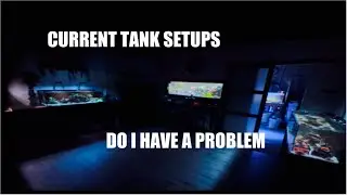 Too many tanks?