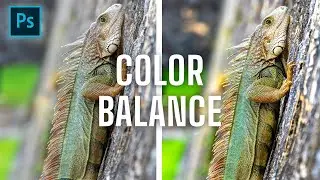 Master Color Balance in Photoshop | Fix & Enhance Colors Like a Pro! in telugu