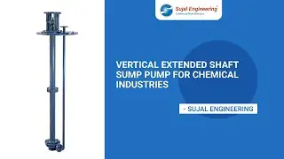 Vertical Extended Shaft Sump Pump For Chemical Industries
