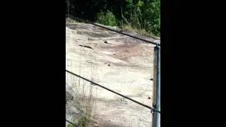 Rocky Face Park Grand Opening
