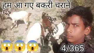 हम आ गए बकरी चराने 😱#shorts #ytshorts #youtubeshorts #youtube #farmingreels #farming #farmingsong 