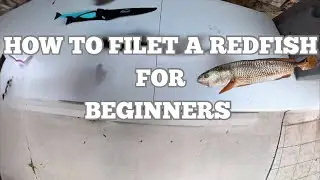 How to Fillet a Redfish... For Beginners